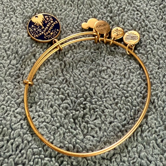 Disney Alex and Ani: End the Day with Fireworks Bracelet - Picture 4 of 4